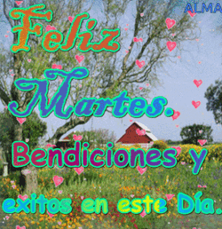 Martes GIF
