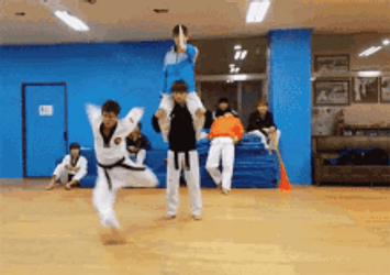 Martial Arts Jumping Kick GIF