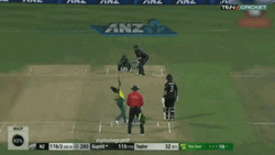 Martin Guptill New Zealand Cricket Team GIF