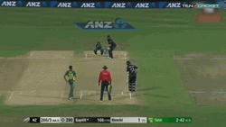 Martin Guptill Side Hit Crew Team GIF