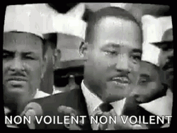 Martin Luther King Jr. Non Violent