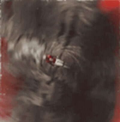 Martinez Number 2 Jersey Close Up GIF