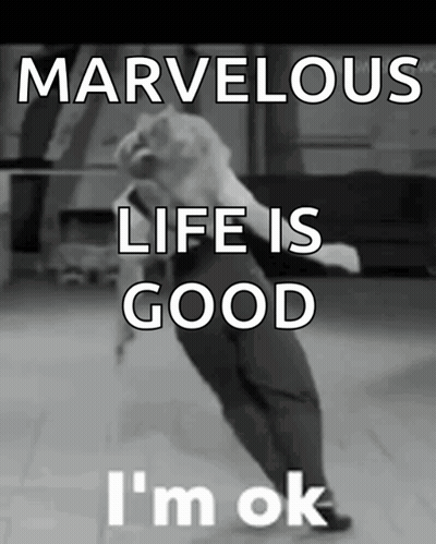 Marvelous Life Good I'm Ok GIF