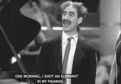 Marx Brothers Groucho Elephant