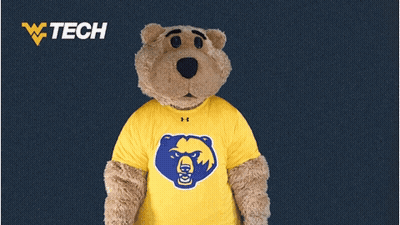 Mascot Bear In Yellow Shirt With Blue Bear GIF