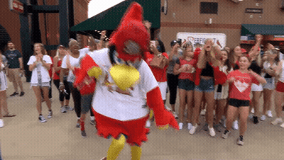 Mascot Dancing In Front Of Crowd At Sports Game GIF