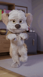 Mascot Dog Dancing Running Man GIF