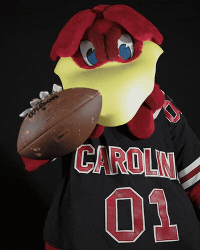 Mascot Holding Football Wearing Carolin 03 Shirt GIF