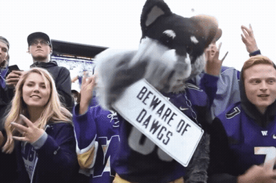 Mascot Holding Sign Saying Beware Of Dawgs GIF