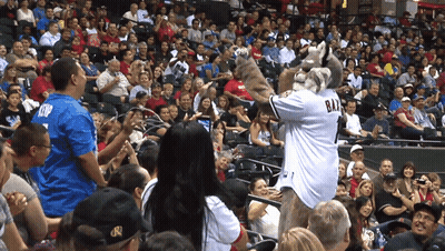 Mascot In Bay Jersey Dancing In Crowd GIF