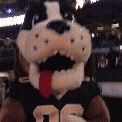 Mascot In Black And White Jersey Number 32 GIF