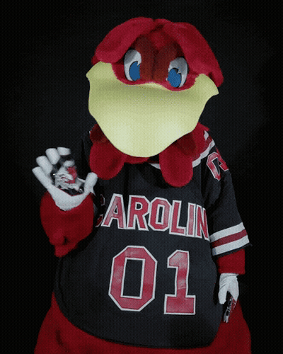 Mascot In Black Jersey Saying Carolina 01 GIF