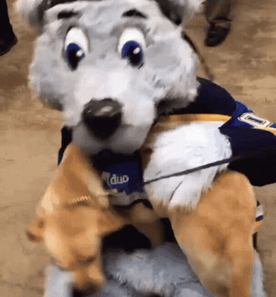 Mascot In Blue Shirt Number 7 GIF