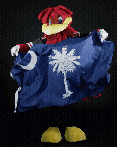Mascot In Carolin Jersey Holding Flag GIF