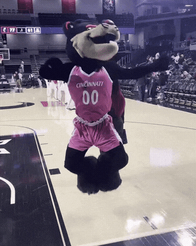 Mascot In Cincinnati Jersey Jumping On Basketball Court GIF