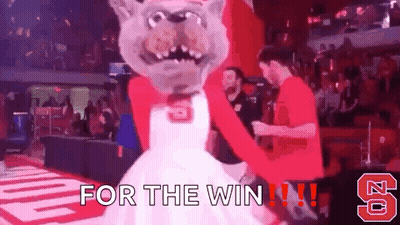 Mascot In Crowd With For The Win GIF