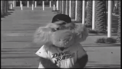 Mascot In Devil Rays Shirt GIF