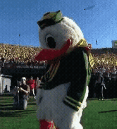 Mascot In Duck Costume Standing GIF