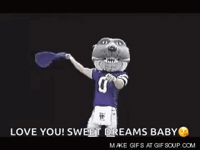 Mascot In Purple Jersey Holding Flag Saying Love You Sweet Dreams Baby GIF