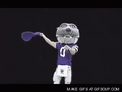 Mascot In Purple Jersey Holding Purple Flag GIF