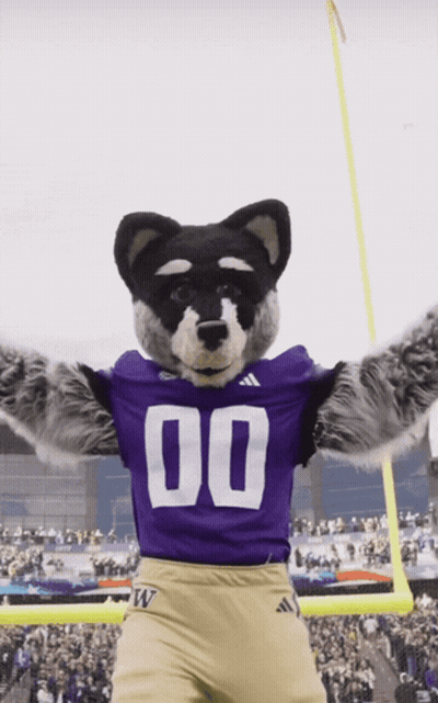 Mascot In Purple Jersey Number 00 GIF