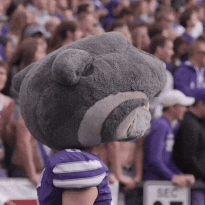 Mascot In Purple Jersey Number 10 GIF