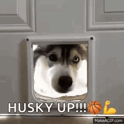 Mascot In Red And White Striped Shirt And Raccoon Mask Dancing GIF