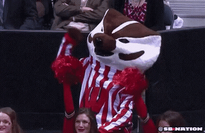 Mascot In Red And White Striped Shirt Held By Cheerleaders GIF