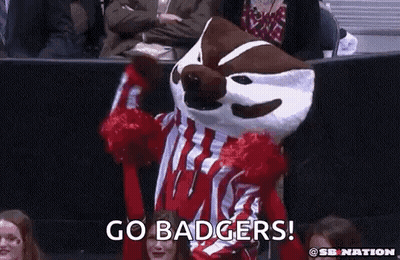 Mascot In Red And White Striped Shirt Held Up By Cheerleaders GIF