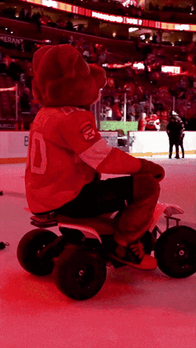 Mascot In Red Jersey Number D GIF