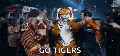 Mascot In Tiger Costume Dancing In Crowd GIF