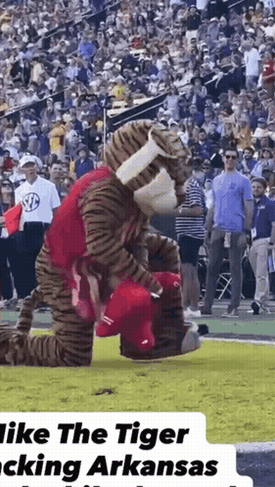 Mascot Kneeling On Field Holding Red Hat GIF