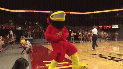 Mascot On Basketball Court Saying State GIF