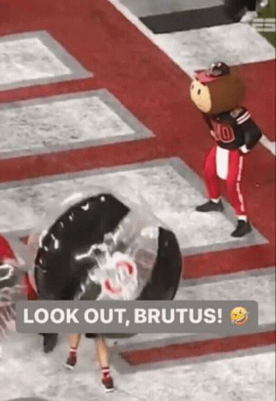 Mascot On Football Field Say Look Out Brutus GIF