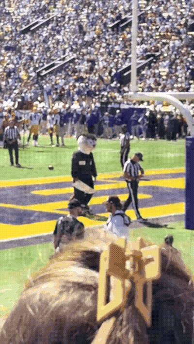 Mascot On Football Field With Crowd GIF