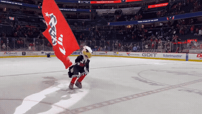Mascot On Ice Rink Holding Washington Capitals Flag GIF