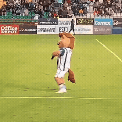 Mascot On Soccer Field In Front Of Comex Sign GIF