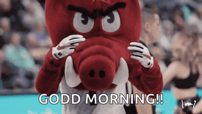 Mascot Saying Good Morning In Front Of Crowd GIF