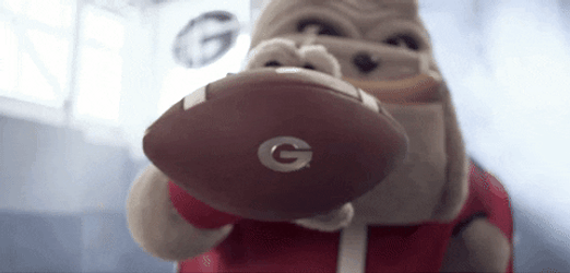 Mascot Showing Football With Dawgs Logo GIF