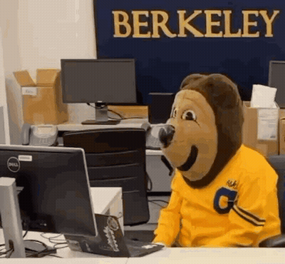 Mascot Sitting At Desk In Front Of Berkeley Sign GIF