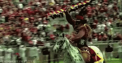 Mascot Standing In Front Of Crowd Saying For The Win GIF