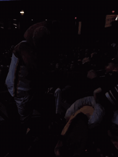 Mascot Standing In Stadium With Crowd GIF