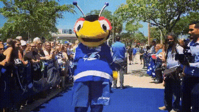 Mascot Standing On Blue Carpet GIF