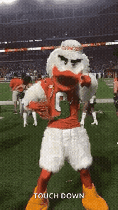 Mascot Standing On Football Field Pointing GIF