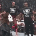 Mascot Sting Wrestles GIF