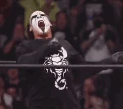 Mascot Sting Wrestling Fight GIF