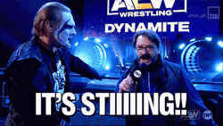 Mascot Sting Wrestling GIF