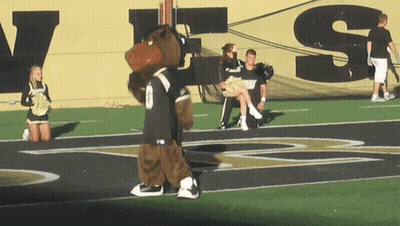 Mascot Walking On Football Field With Cheerleaders Says VS GIF
