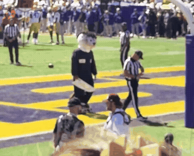 Mascot Walking On Football Field With Referee GIF