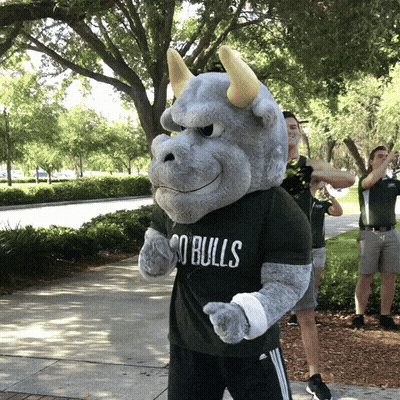 Mascot Wearing Bulls Shirt GIF
